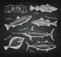 Sea food chalk set.