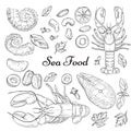 Sea food collection, Hand drawn elements collection