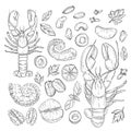 Sea food collection, Hand drawn elements