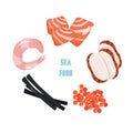 Sea food concept. Cute vector flat illustration with shrimp, slices of salmon and eel, caviar and nori. Royalty Free Stock Photo