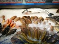 Sea food counter at gourmet supermarket Royalty Free Stock Photo