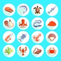 Sea Food Icons Flat Royalty Free Stock Photo