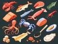 Fish Superfood Isometric Icons