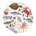Sea food in round shape. Flounder, mussel, mackerel, lobster, oyster, octopus sea creatures banner, poster, card design