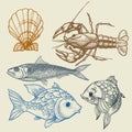 Sea food set