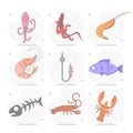 sea food vector flat illustration set with shrimp, squid, cancer