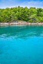 Sea, forest and sky