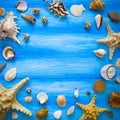 Sea frame. Different marine items on blue wooden background. Sea