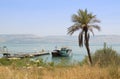 By the Sea of Galilee