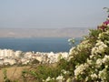 Sea of Galilee