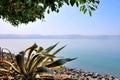 Sea of Galilee