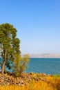 Sea of Galilee in Israel Royalty Free Stock Photo