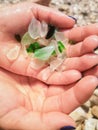 Sea glass pieces in hand . Green pieces of glass polished by the sea closeup background. A pile of natural beach glass. Multi- Royalty Free Stock Photo