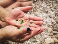 Sea glass pieces in hand . Green pieces of glass polished by the sea closeup background. A pile of natural beach glass. Multi- Royalty Free Stock Photo