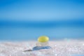 Sea glass seaglass on glitter sand with ocean , beach and seasca