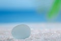 Sea glass seaglass on glitter sand with ocean , beach and seasca Royalty Free Stock Photo