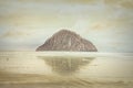 Sea of gold. A tranquil morning on the beach of Morro Bay Royalty Free Stock Photo