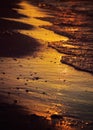 Sea during golden sunset Royalty Free Stock Photo