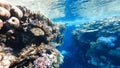 Gorge between two beautiful corals between which colorful fish swim