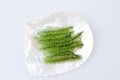 Sea grape seaweed in the dish made from mother of pearl, Healthy sea food. Royalty Free Stock Photo