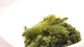 Sea grape seaweed, uni budou. japanese seaweed Royalty Free Stock Photo