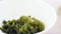 Sea grape seaweed, uni budou. japanese seaweed Royalty Free Stock Photo