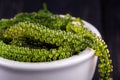 Sea grapes ( green caviar ) seaweed Royalty Free Stock Photo