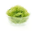 Sea grapes green caviar seaweed on white backgroun