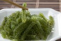 Sea grapes or green caviar and spicy sauce on a white dish Royalty Free Stock Photo