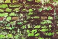 Sea green broken cracked brick wall. Royalty Free Stock Photo