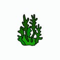 Sea green vector algae in doodle style. Simple illustration, icon. Royalty Free Stock Photo