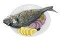 Sea grouper fish ( Dolphin ) prepared for roasting