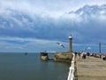 Sea Gull and Beacon