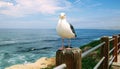 Sea gull bird perched on wood fence post over scenic view of rock cliffs, beach and blue ocean waves. Royalty Free Stock Photo