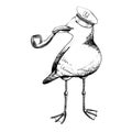 A sea gull in a captain's cap with a tobacco pipe in its beak. EPS hand drawn black and white vector graphic