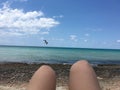 Sea gull flying over coral shore relax look at the ocean