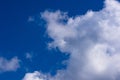 sea gull and Glider, sky, clouds Royalty Free Stock Photo