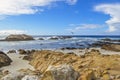 Sea Gull Near Seal Rock Royalty Free Stock Photo