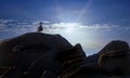 Sea Gull Resting on Large Rocks, on Cabo San Lucas Beach, during Sunset Royalty Free Stock Photo