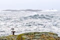 A sea gull standing calmly on a pole on a small island. Royalty Free Stock Photo