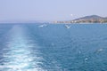 Sea gulls fly behind a ship