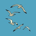 Sea gulls illustration Royalty Free Stock Photo