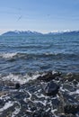 Sea gulls over ocean waves in Southeast Alaska Royalty Free Stock Photo