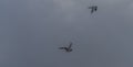 Sea gulls over Vrbenske ponds in spring blue sky day