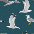 Sea gulls seamless pattern. Hovering, soaring, standing, with folded wings, resting, curious. Flying mew