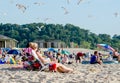 Sea gulls share the beach with lots of people Royalty Free Stock Photo