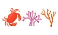 Sea Habitants with Crab and Coral Reef Vector Set