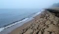 The fog, but the sea has receded and left inimitable patterns. Royalty Free Stock Photo