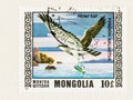 Sea Hawk catching Fish, On Mongolia Conservation Stamp