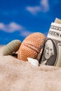 Sea Hedgehog shells and dollar money on sand Royalty Free Stock Photo